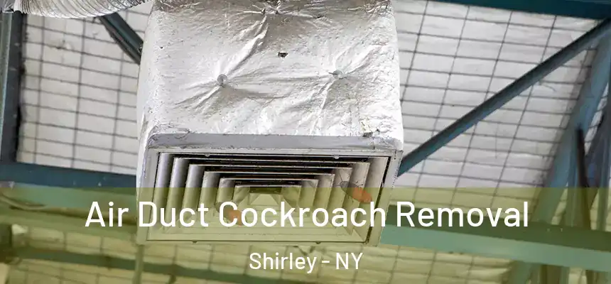  Air Duct Cockroach Removal Shirley - NY