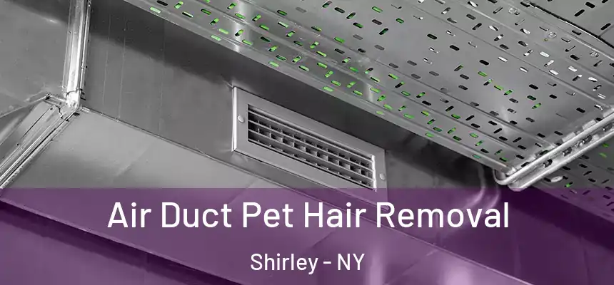Air Duct Pet Hair Removal Shirley - NY