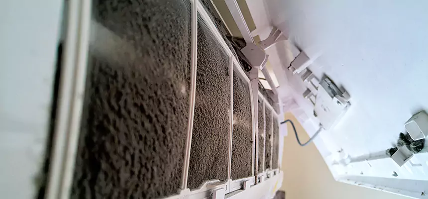 Preventive Air Duct Bacteria Removal in Shirley