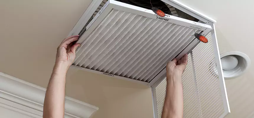 Preventive Cockroach-Proofing for Ducts in Shirley