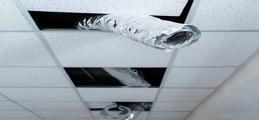 Our Air Duct Pet Hair Removal Services in Shirley, NY