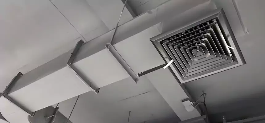 Restorative Allergy Relief Vent Cleaning – Coil, Blower & Housing Detail in Shirley