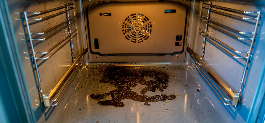 Our Dryer Vent Mold Cleaning Services in Shirley, NY