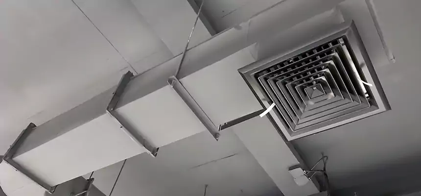 Our Pest Removal From Ducts Services in Shirley, NY