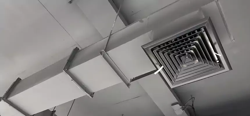 Our Rodent Droppings In Vents Services in Shirley, NY