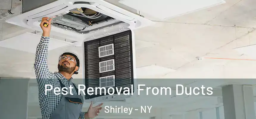  Pest Removal From Ducts Shirley - NY