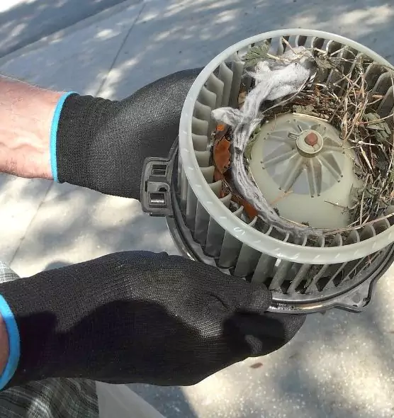 About Air Duct Rat Removal in Shirley, NY