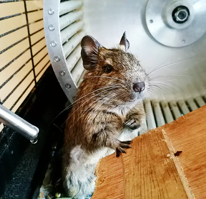 Why Homeowners & Businesses Trust Us Shirley, NY