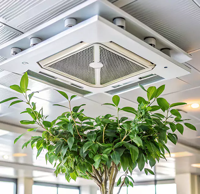 Why Homeowners & Businesses Trust Us in Shirley, NY