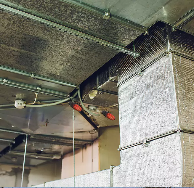 Why Homeowners & Businesses Trust Us Shirley, NY?